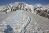 resize0484.jpg